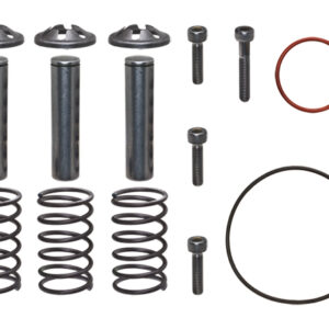 185713GS, Piston Kit