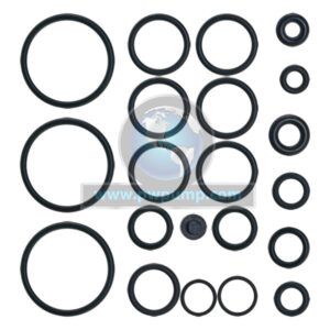 317843GS O-Ring Kit