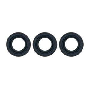 OIL SEAL KIT 7110124