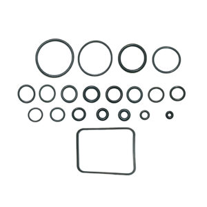Pump O-Ring Kit 7110121