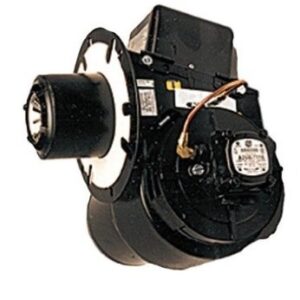 WAYNE 230 VAC ASSEMBLY