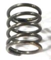 Plunger spring