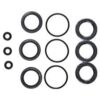 Cat Pump Seal Kit - 31644
