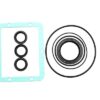 AR Oil Seal Kit, AR1856