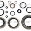 O-Ring Kit 193991GS