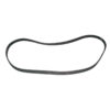BELT POLY V "J" 50"