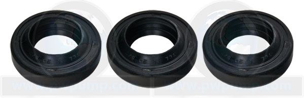Oil Seal Kit PM256500SV
