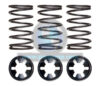 Retainer & Springs