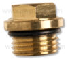 PW2422 Valve Cap