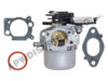 Carburetor, 796608