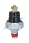 Oil Switch
