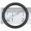 O-RING