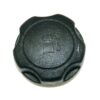 Fuel Cap, 099980425079