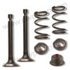 Valve Kit