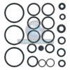 O-Ring Kit 200346GS