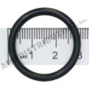 VALVE PLUG O-RING 142807
