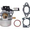 Briggs & Stratton Carburetor 799248