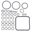 O-Ring Kit 7110146