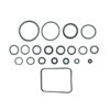 Pump O-Ring Kit 7110121