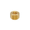 PLUG 23-0244