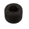 Plug 190581GS