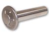 Piston Complete 4.553-173.0