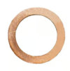 CAT Plunger Gasket 45891