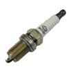 491055S Spark Plug