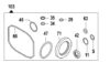 Oil Seal Kit