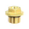 Valve Cap, PLUG