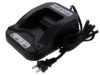 Briggs Battery Charger
