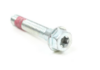 Briggs $ Stratton Screw