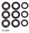 70-0299, KIT - V-PACKING