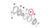 Sight Glass Spacer, 7110297