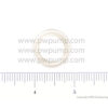 Oil Sight Glass