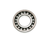 AR161060 REAR BEARING