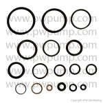 KIT - O-RING REPAIR 70-0336