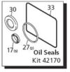 Oil Seal Kit