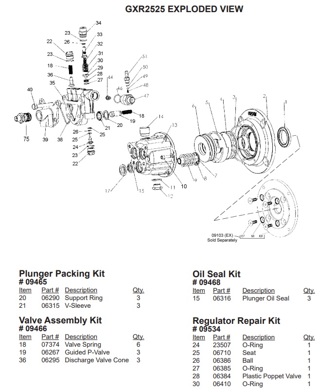 Coleman Powermate power washer PW0912700.01 pump GXR2525 breakdown